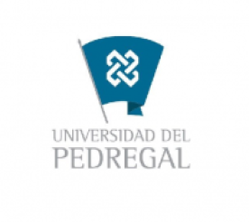 Universidad del Pedregal